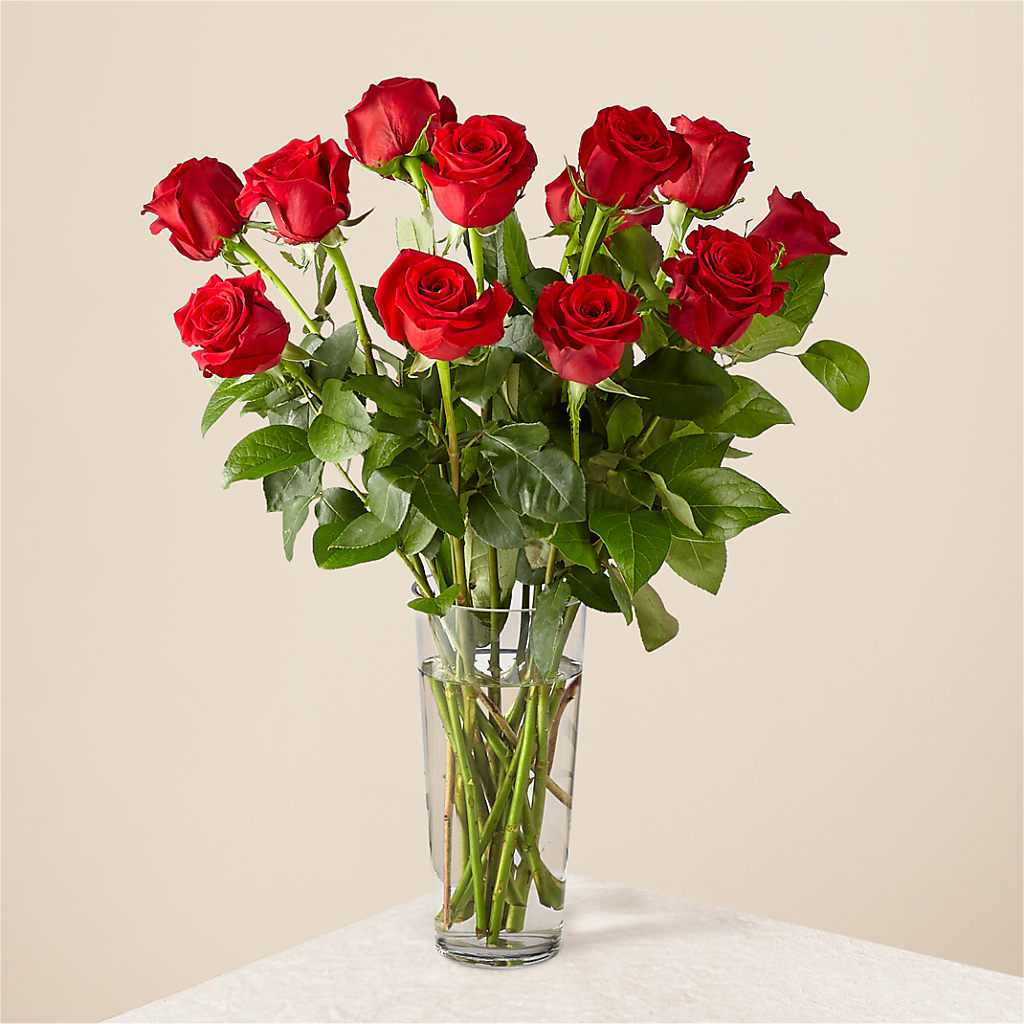 Long Stem Red Rose Bouquet – Talia Flowers, Ottawa ON
