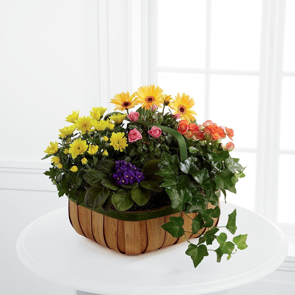 Gentle Blossoms Basket – Talia Flowers, Ottawa ON