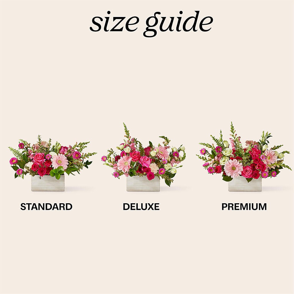 Too Cute Bouquet – Talia Flowers, Ottawa ON