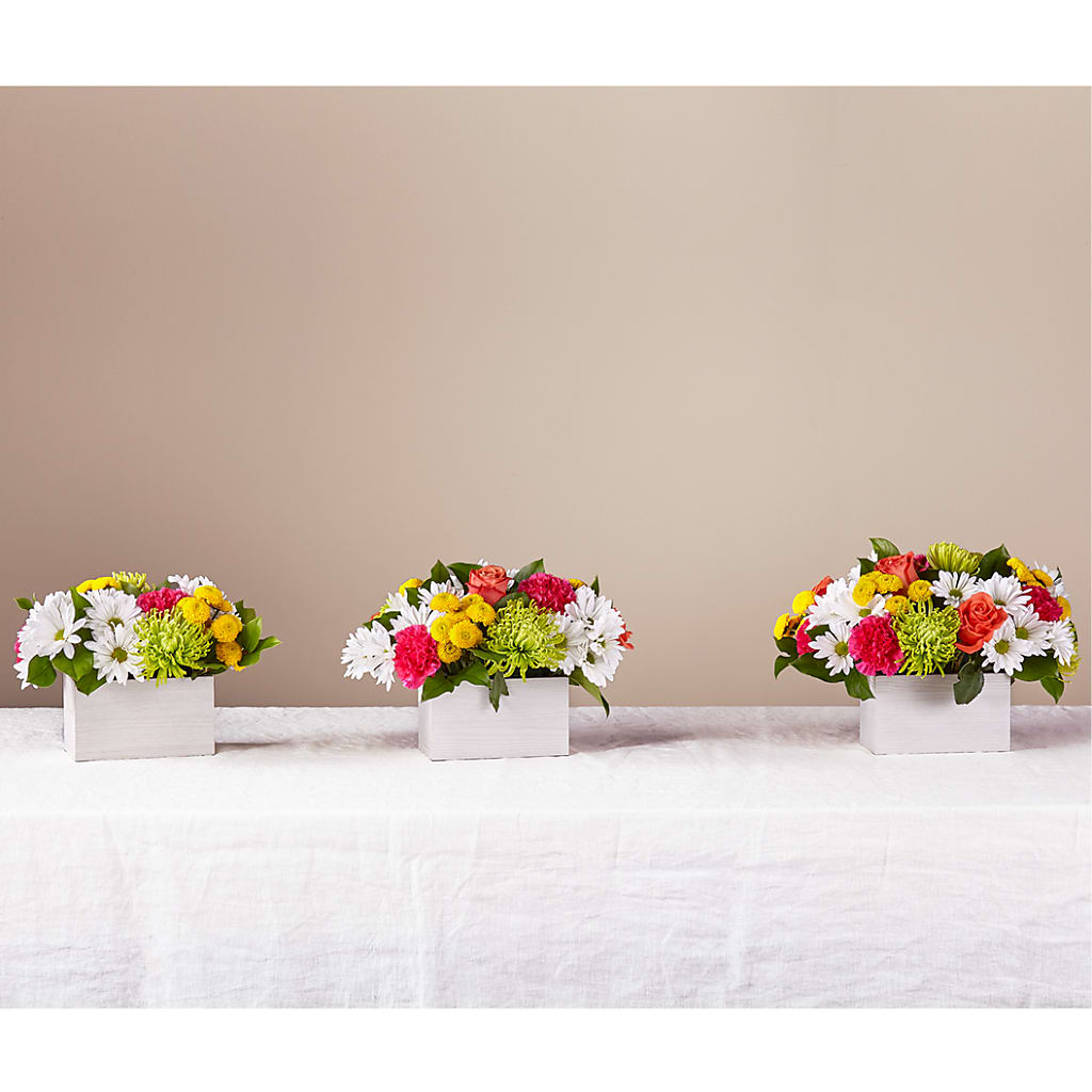 Sorbet Bouquet – Talia Flowers, Ottawa ON