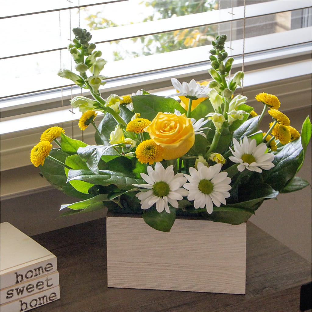 Sun Salutation Box Bouquet – Talia Flowers, Ottawa ON