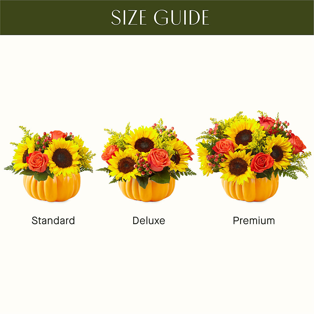 Pick of the Patch Pumpkin Bouquet – Talia Flowers, Ottawa ON