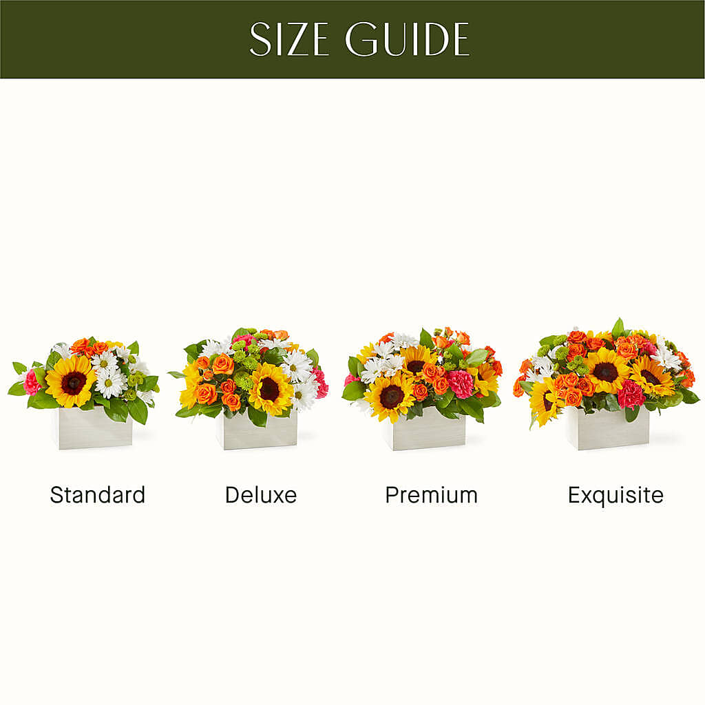 Sun-drenched Blooms Box Bouquet – Talia Flowers, Ottawa ON