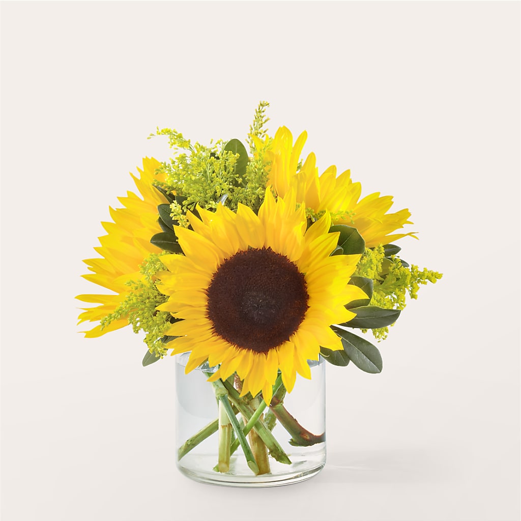 Beaming Sunflower Bouquet – Talia Flowers, Ottawa ON