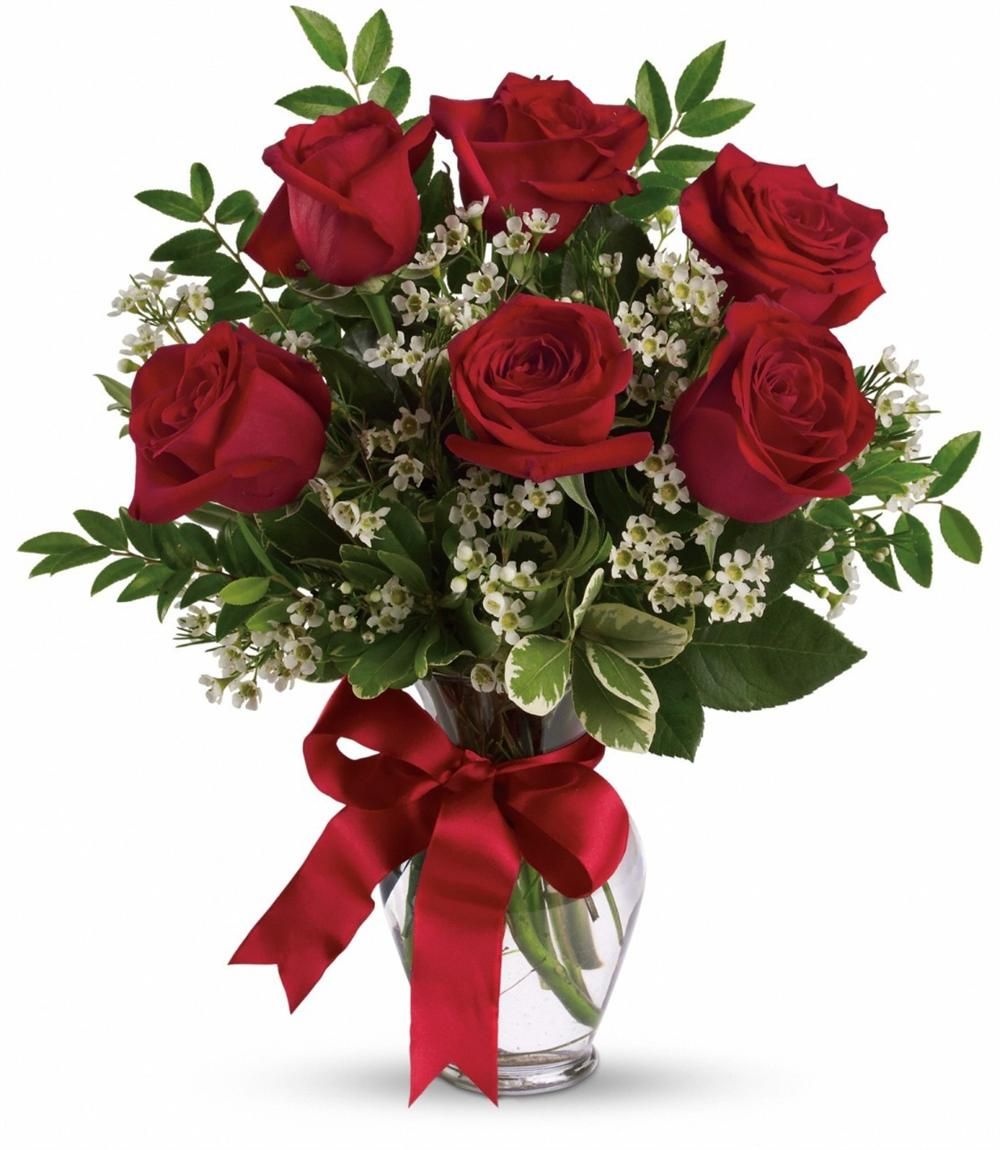6 red roses – Talia Flowers, Ottawa ON