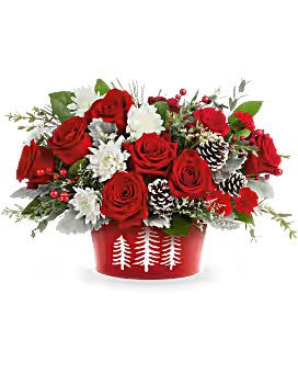 Teleflora's Snowy Pines Centerpiece – Talia Flowers, Ottawa ON