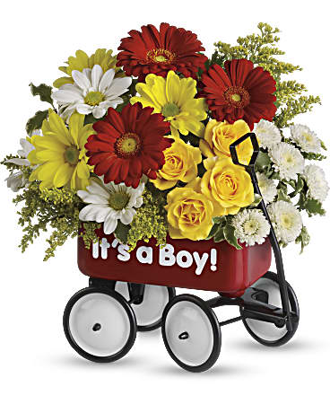 Baby's Wow Wagon by Teleflora - Boy – Talia Flowers, Ottawa ON