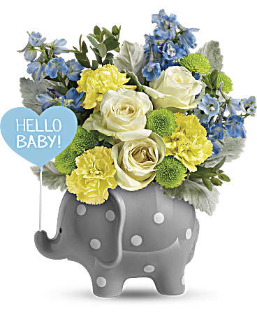 Teleflora's Hello Sweet Baby - Blue – Talia Flowers, Ottawa ON