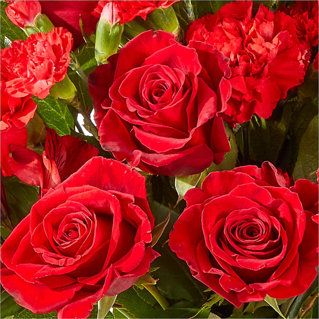 The Heartstrings Bouquet – Talia Flowers, Ottawa ON