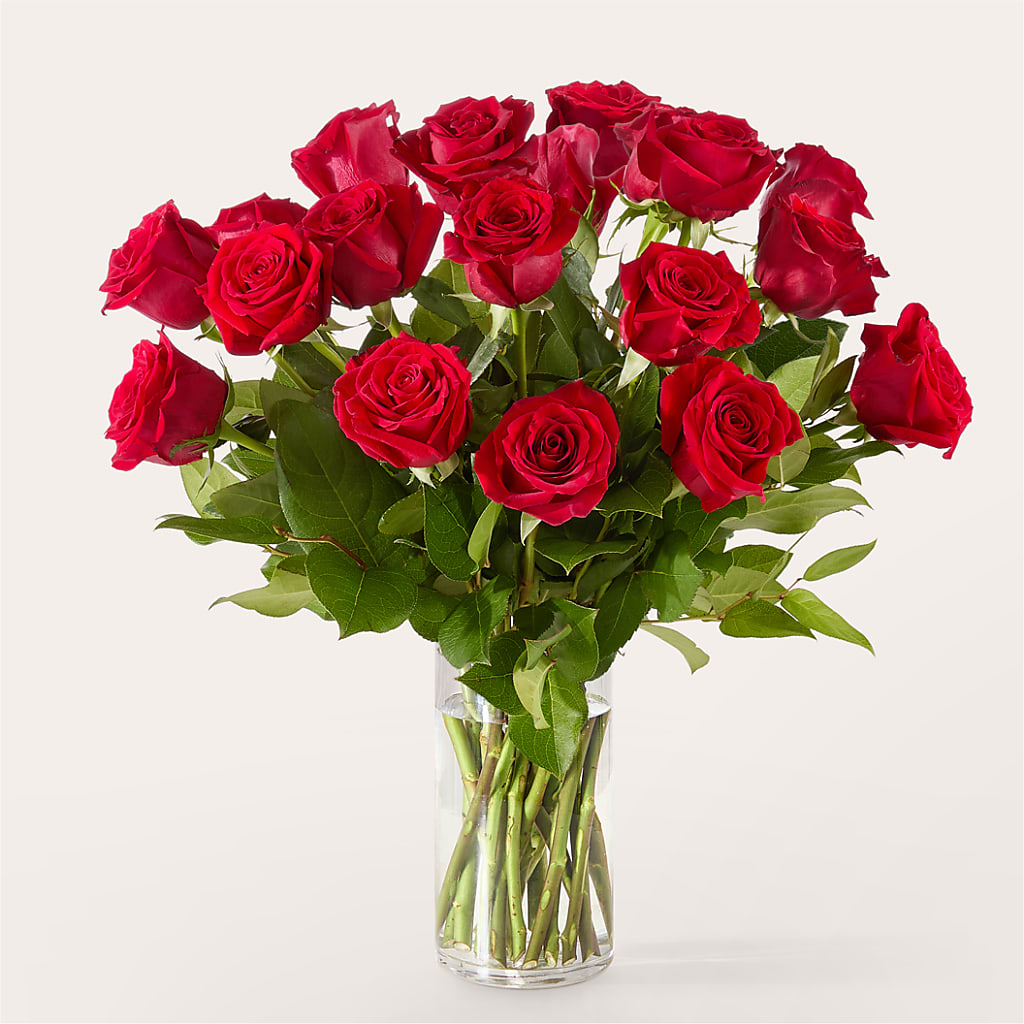 The One Red Rose Bouquet – Talia Flowers, Ottawa ON