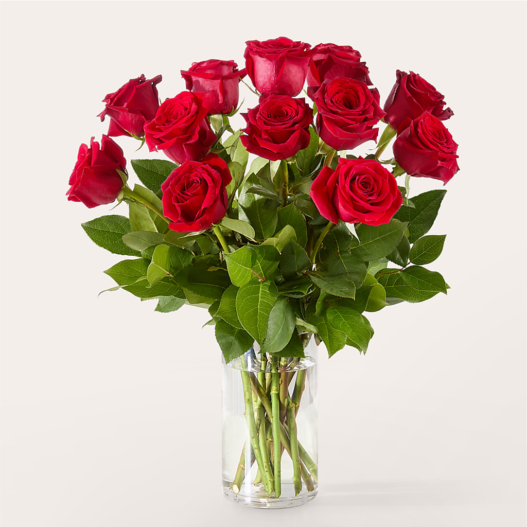 The One Red Rose Bouquet – Talia Flowers, Ottawa ON