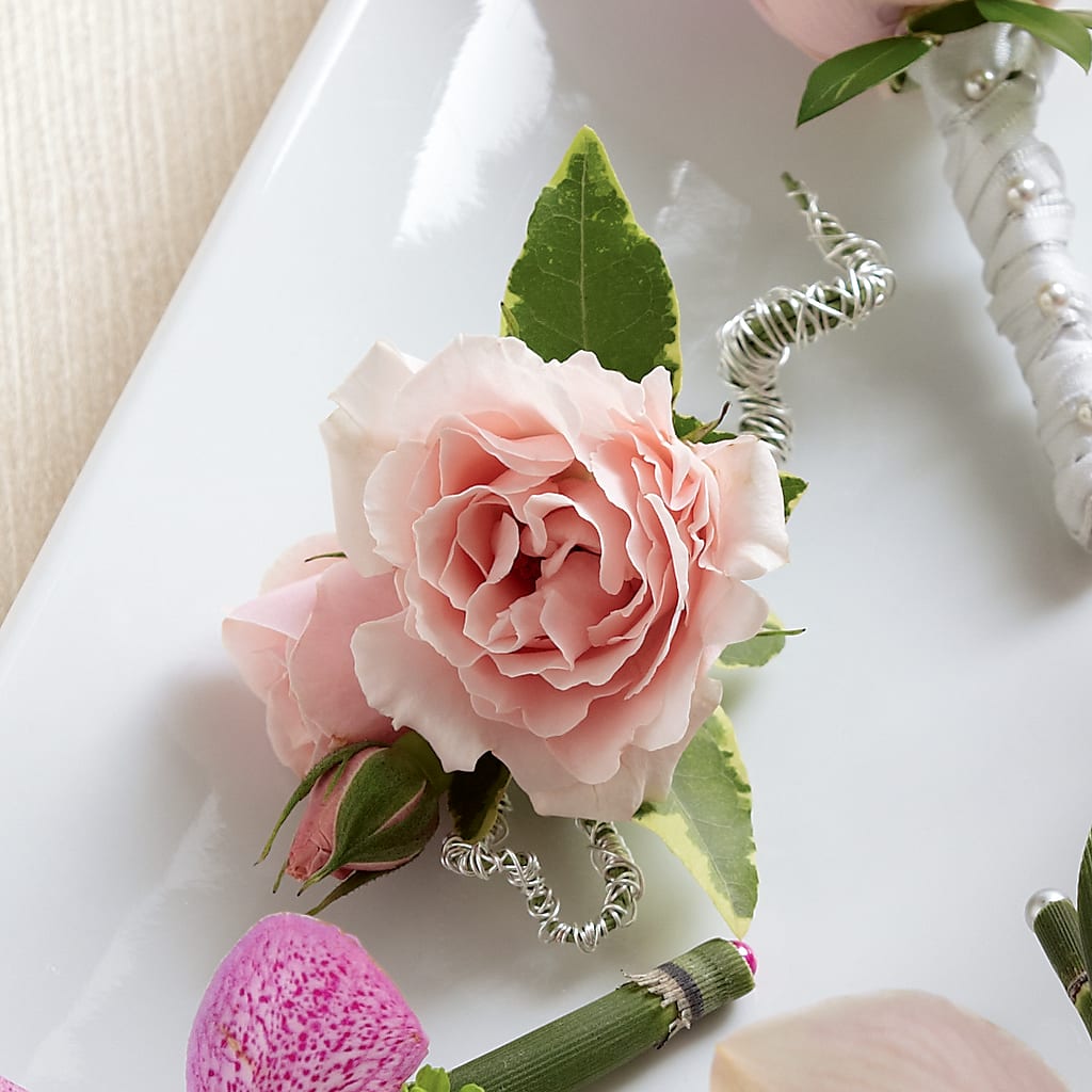 Pink Spray Rose Boutonniere – Talia Flowers, Ottawa ON