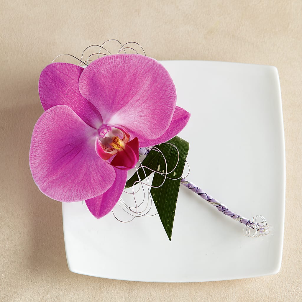Glorious Boutonniere – Talia Flowers, Ottawa ON