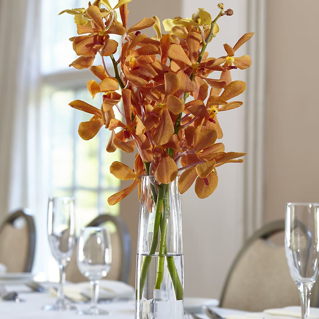 Orange Mokara Bud Vase – Talia Flowers, Ottawa ON
