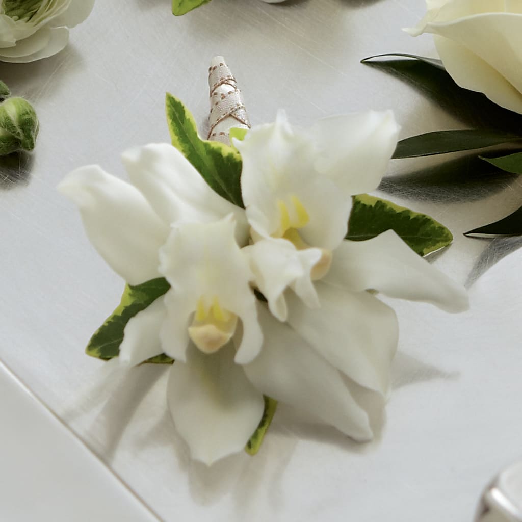 White Mini Cymbidium Boutonniere – Talia Flowers, Ottawa ON