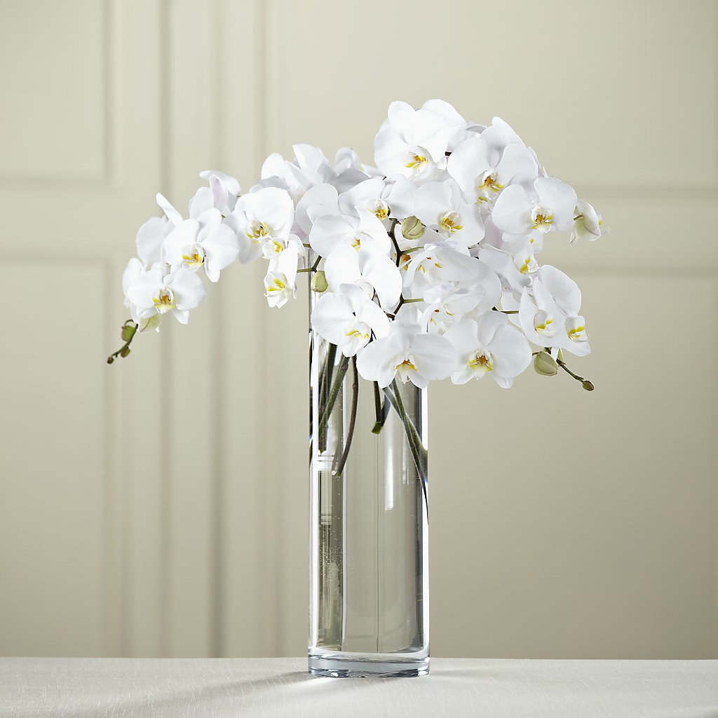 White Phalaenopsis Bouquet – Talia Flowers, Ottawa ON