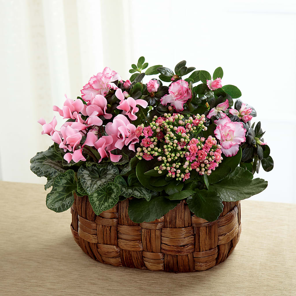 Pink Assortment –  Talia Flowers, Ottawa ON