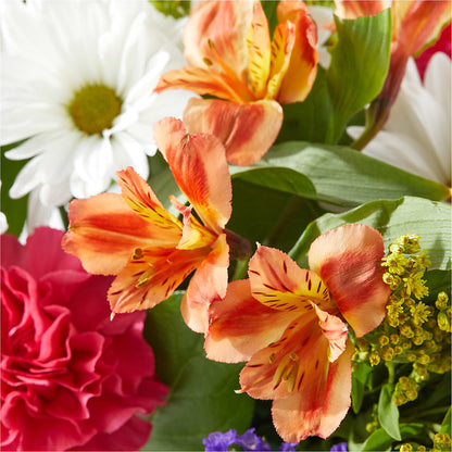 Oopsie Daisy Box Bouquet –  Talia Flowers, Ottawa ON