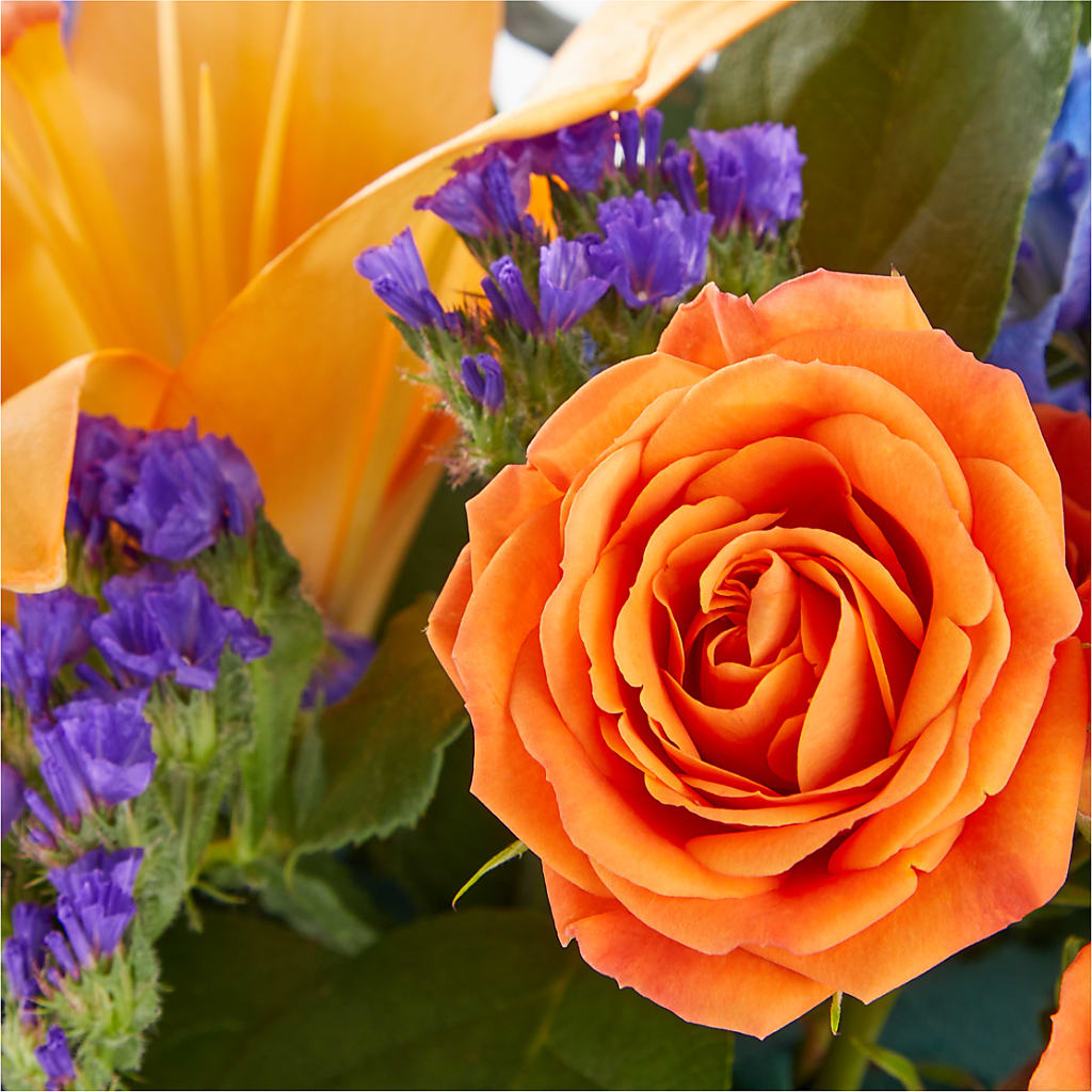 Radiant Citrus Box Bouquet –  Talia Flowers, Ottawa ON
