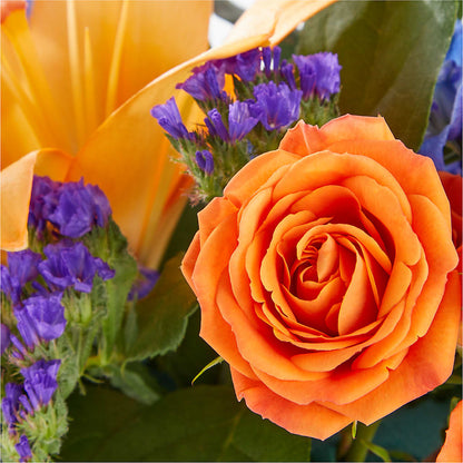 Radiant Citrus Box Bouquet –  Talia Flowers, Ottawa ON