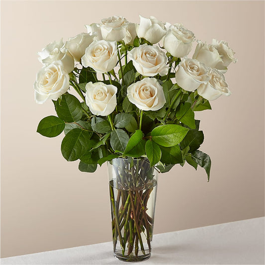 Long Stem White Rose Bouquet –  Talia Flowers, Ottawa ON