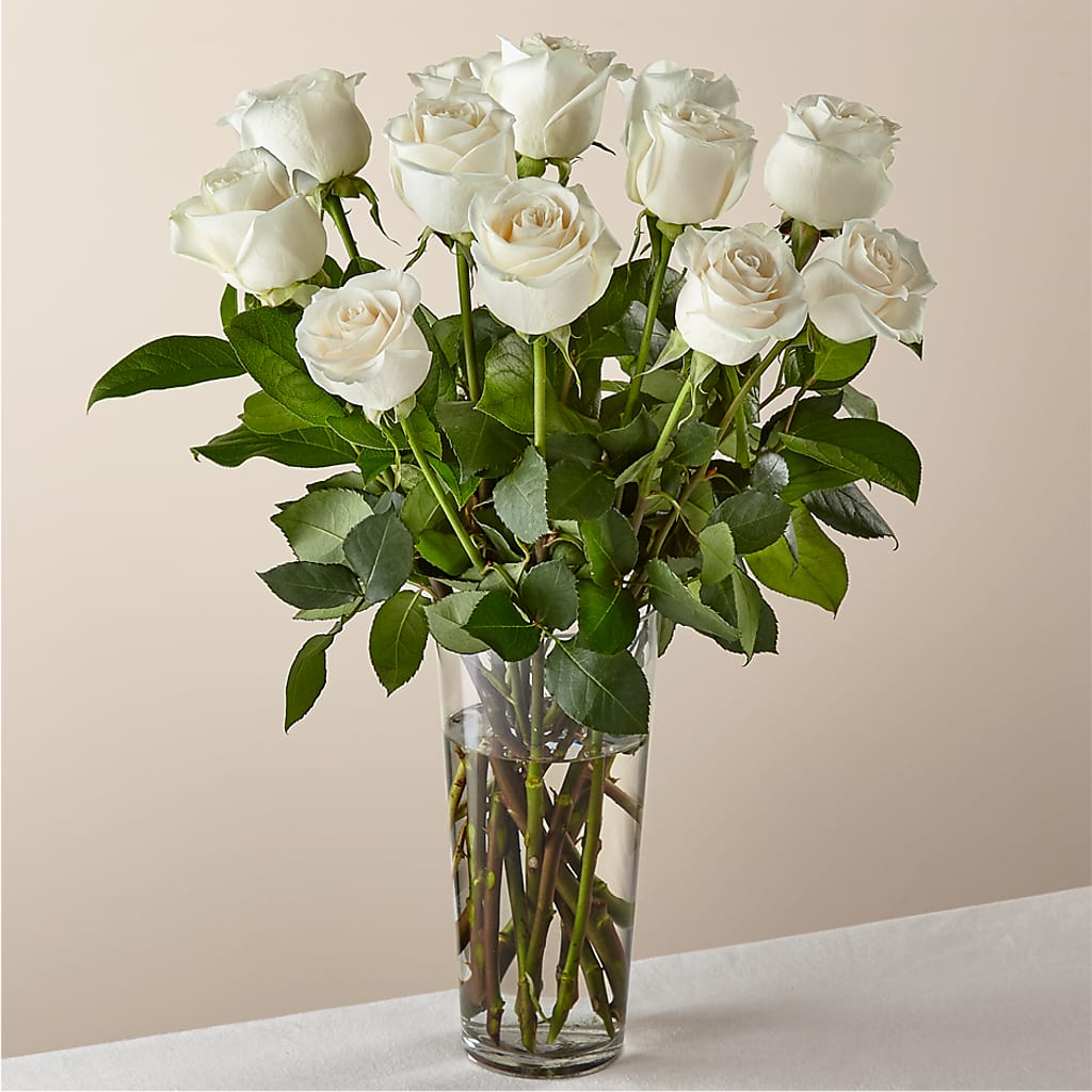 Long Stem White Rose Bouquet –  Talia Flowers, Ottawa ON