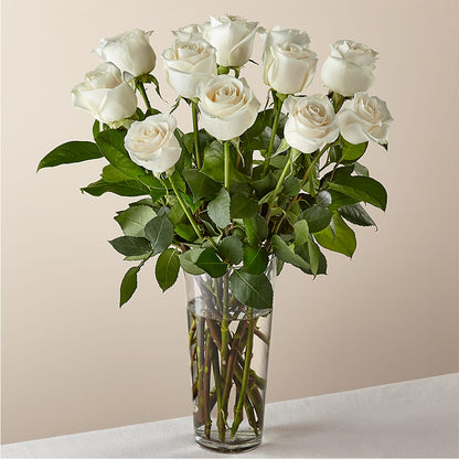 Long Stem White Rose Bouquet –  Talia Flowers, Ottawa ON