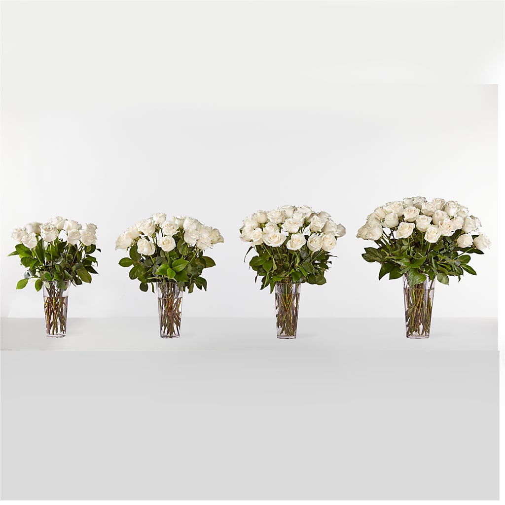 Long Stem White Rose Bouquet –  Talia Flowers, Ottawa ON