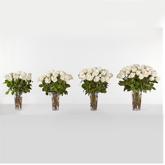 Long Stem White Rose Bouquet –  Talia Flowers, Ottawa ON
