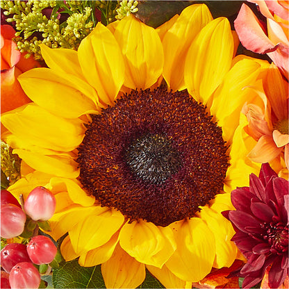 The Outdoors Bouquet –  Talia Flowers, Ottawa ON