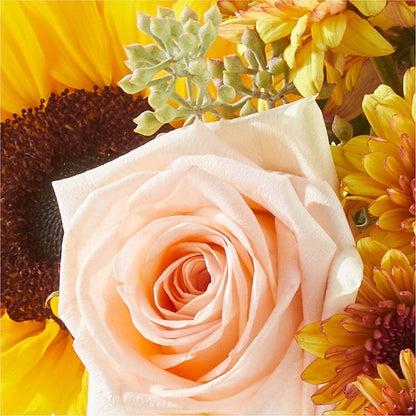 Pumpkin to Talk About Bouquet –  Talia Flowers, Ottawa ON