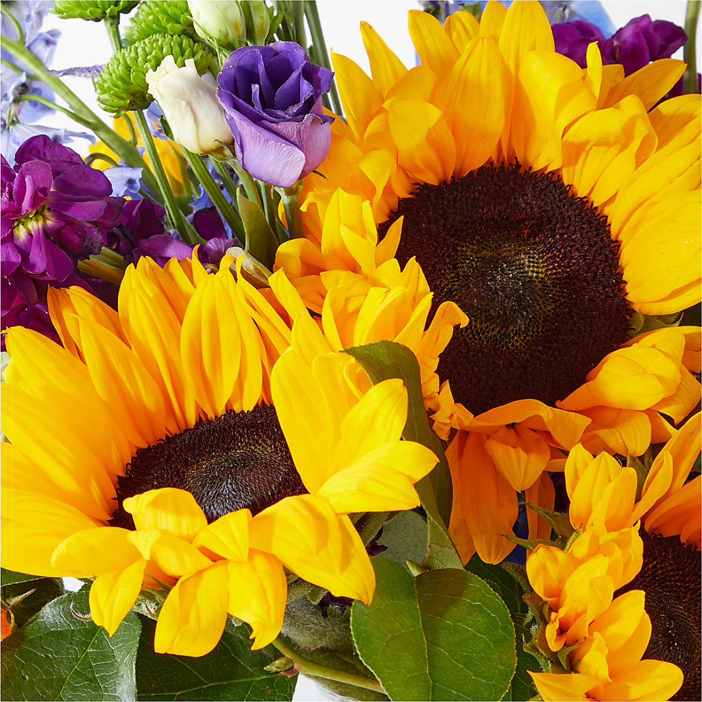 Catching Rays Bouquet –  Talia Flowers, Ottawa ON