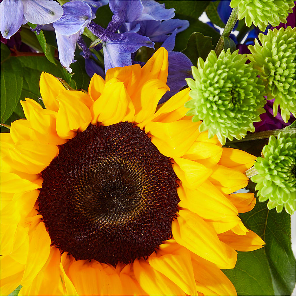 Catching Rays Bouquet –  Talia Flowers, Ottawa ON