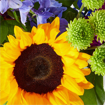 Catching Rays Bouquet –  Talia Flowers, Ottawa ON