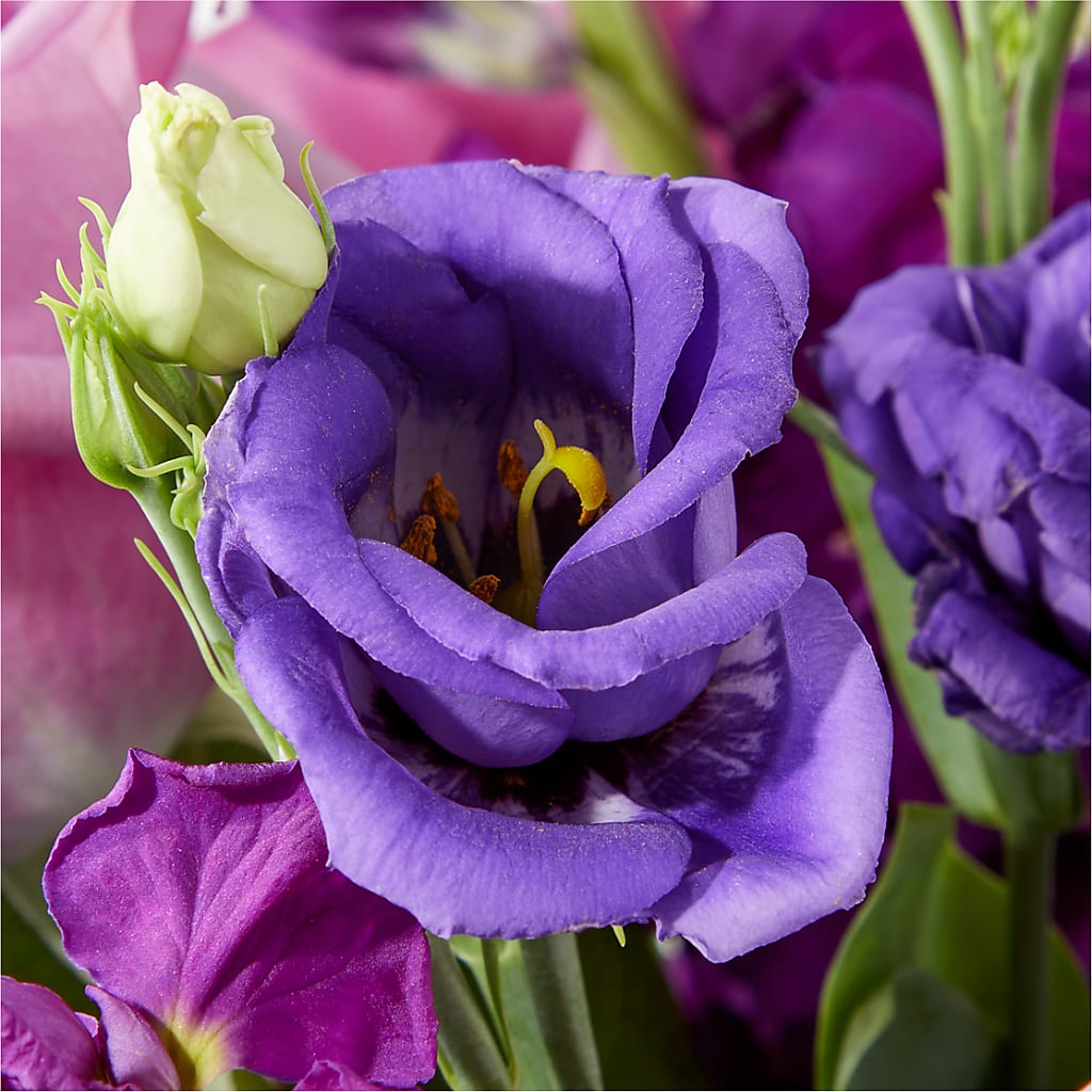 Twilight Glow Bouquet –  Talia Flowers, Ottawa ON