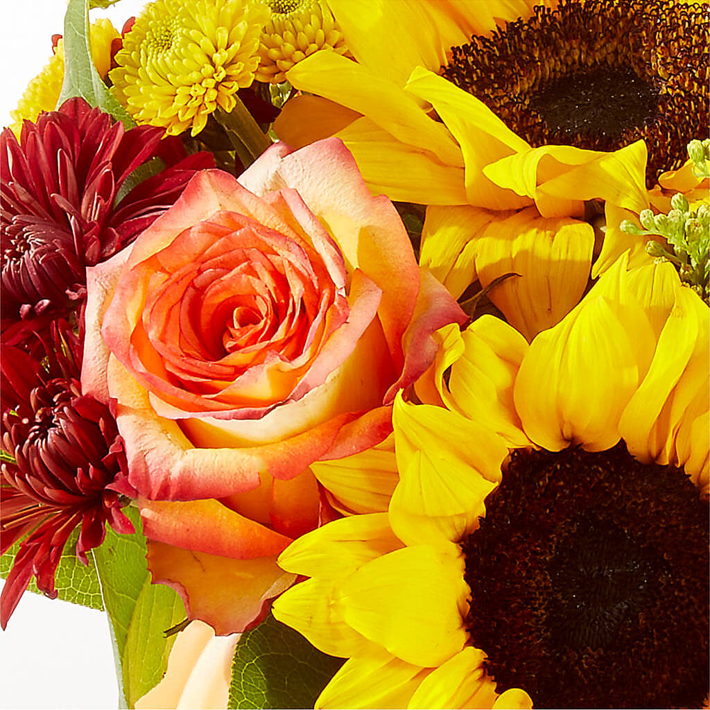 Golden Gourd Pumpkin Bouquet –  Talia Flowers, Ottawa ON