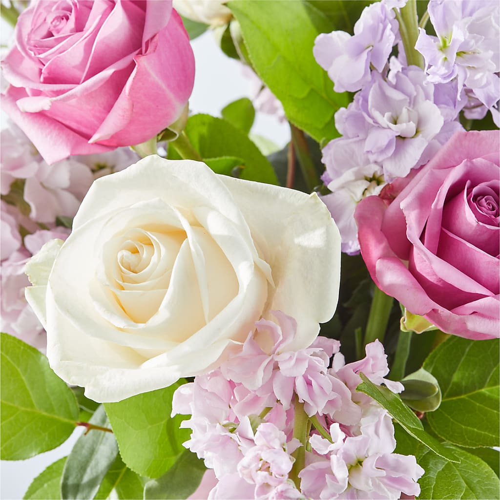 Springtime Spritz Bouquet –  Talia Flowers, Ottawa ON