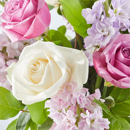 Springtime Spritz Bouquet –  Talia Flowers, Ottawa ON