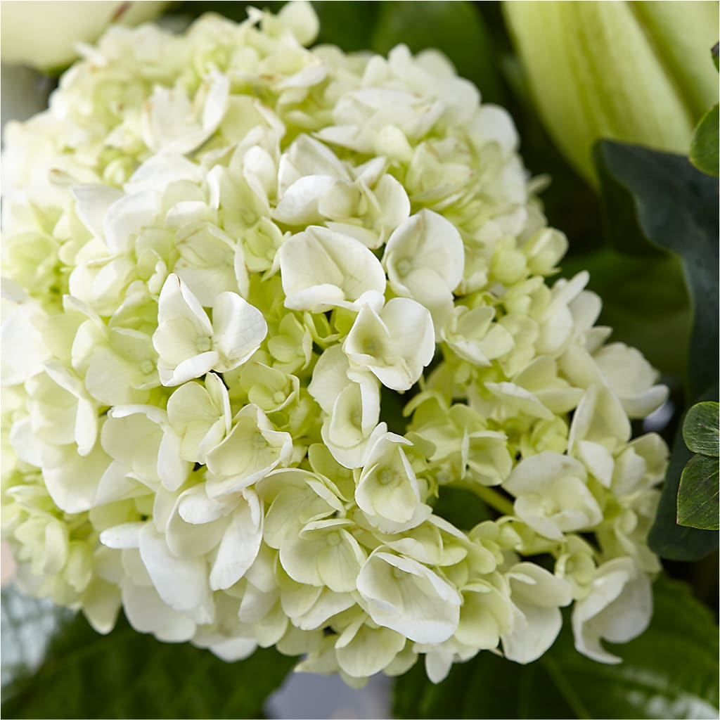 Classic Ivory – A Florist Original –  Talia Flowers, Ottawa ON