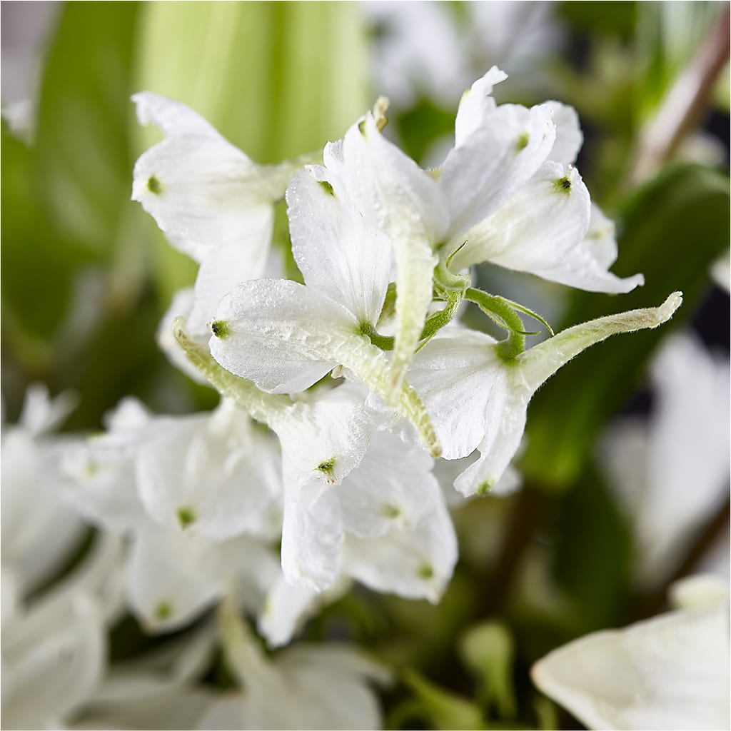 Classic Ivory – A Florist Original –  Talia Flowers, Ottawa ON
