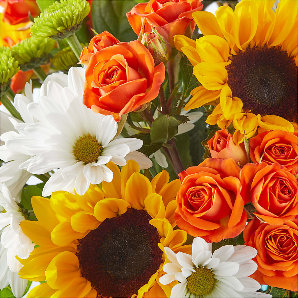 Sun-drenched Blooms Bouquet –  Talia Flowers, Ottawa ON