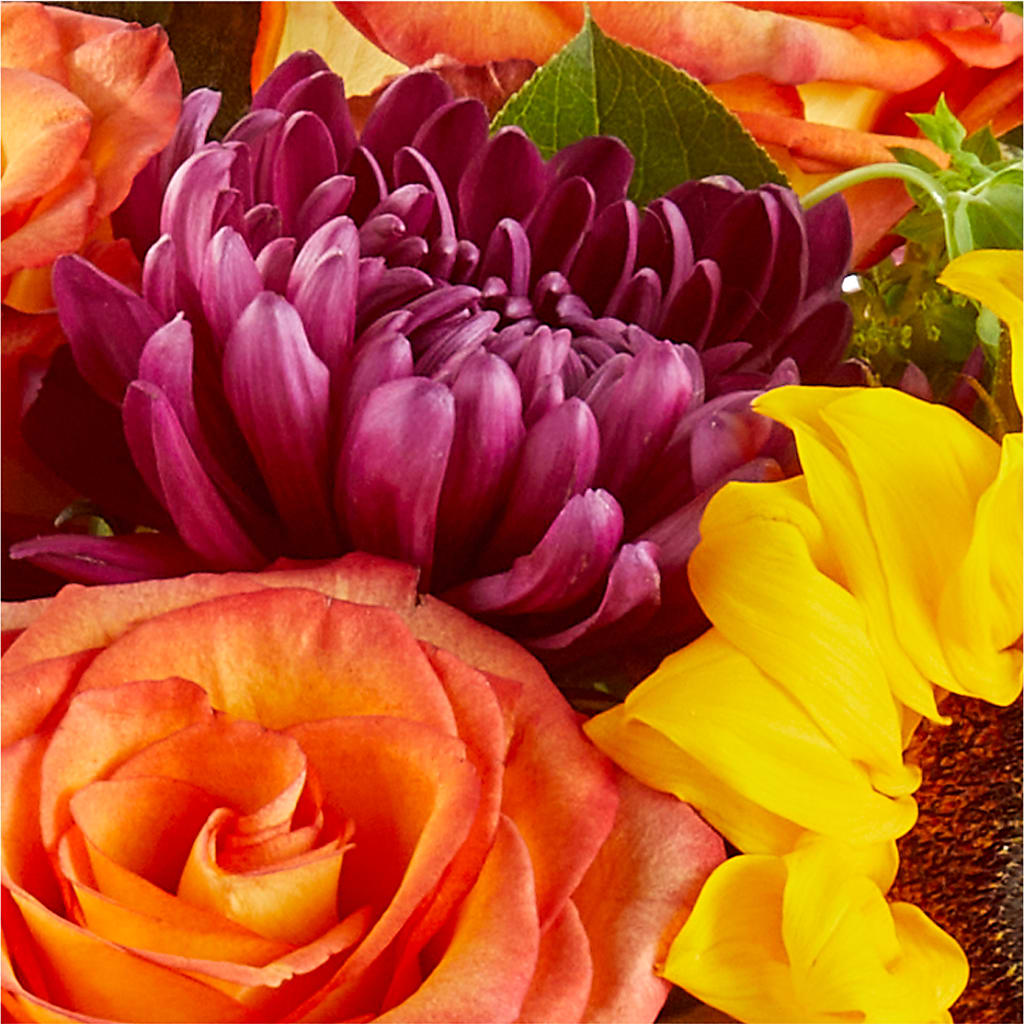 Nature Walk Bouquet –  Talia Flowers, Ottawa ON
