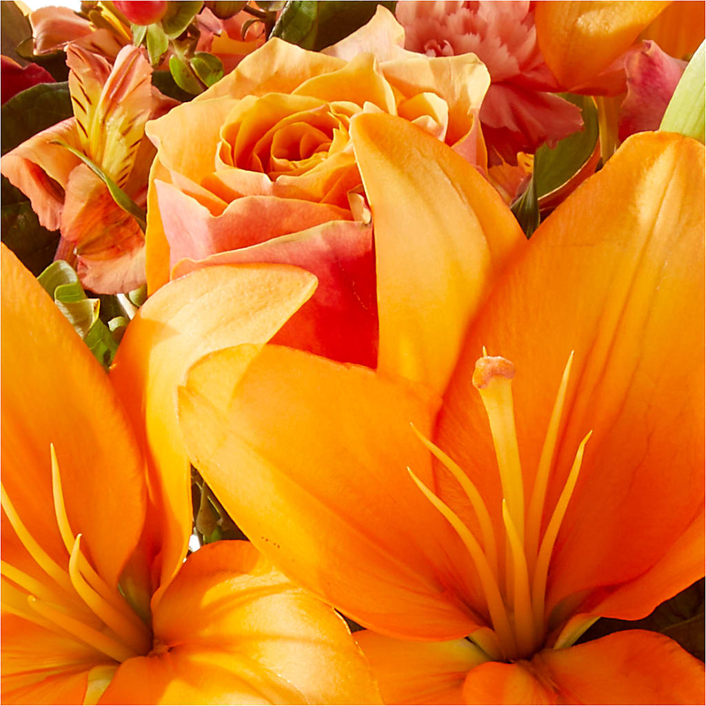 Afternoon Light Bouquet –  Talia Flowers, Ottawa ON
