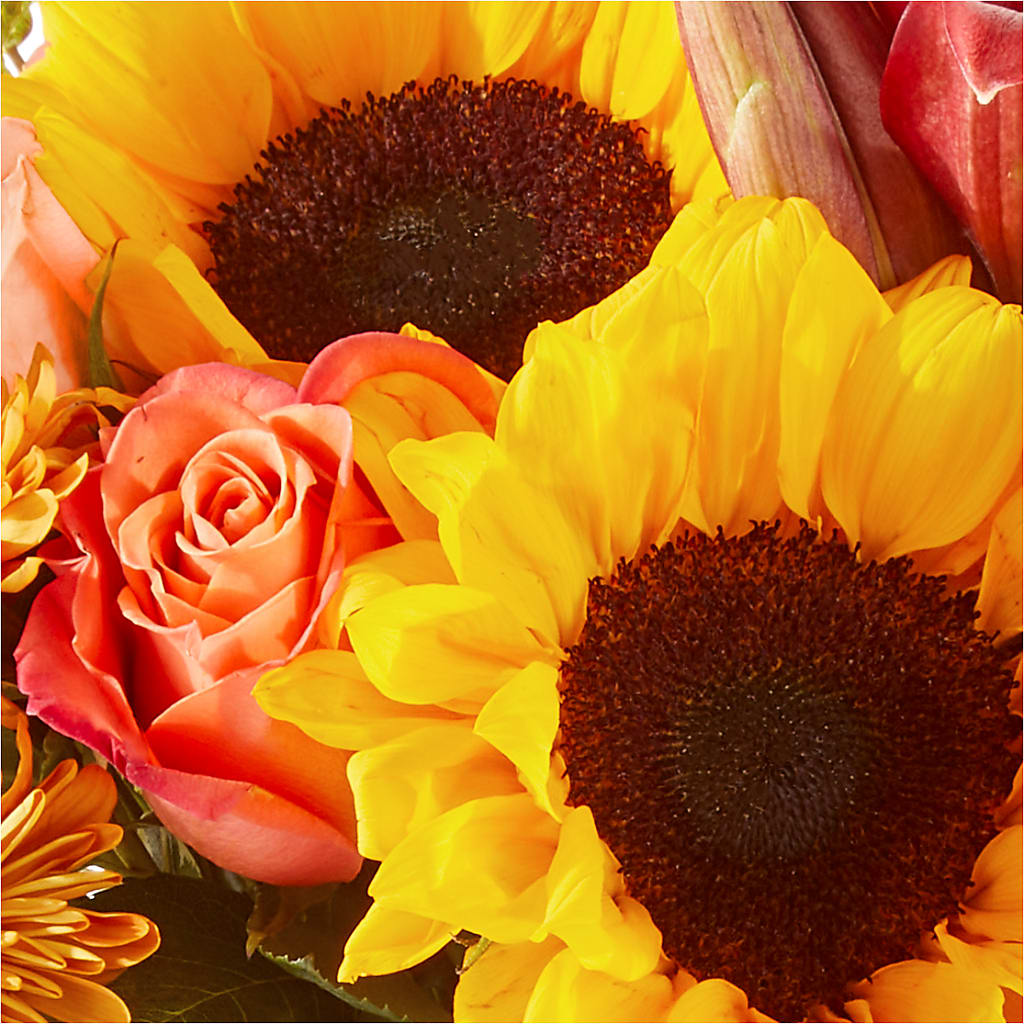 Acorn Lane Bouquet –  Talia Flowers, Ottawa ON