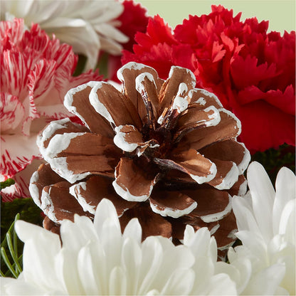 Candy Cane Lane Bouquet –  Talia Flowers, Ottawa ON