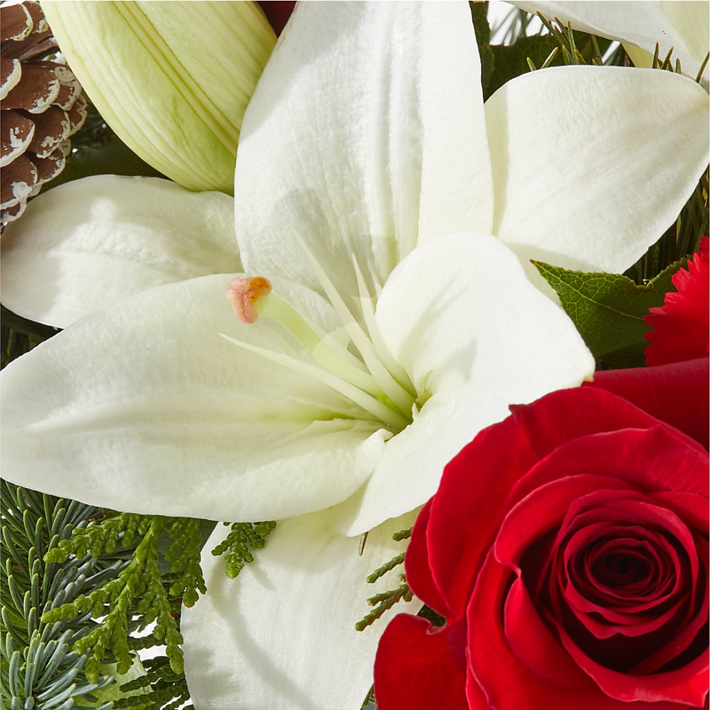 Oh So Jolly Bouquet –  Talia Flowers, Ottawa ON