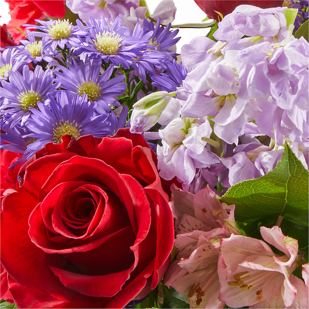 Your Majesty Bouquet –  Talia Flowers, Ottawa ON