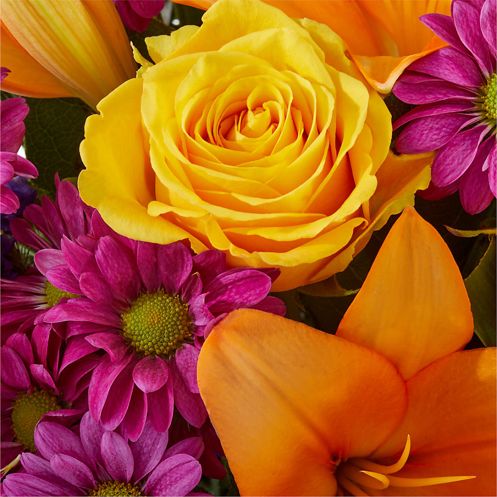 Colorful Visions Bouquet –  Talia Flowers, Ottawa ON