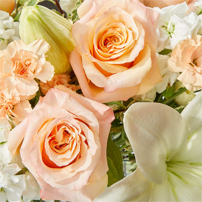Darling Bouquet –  Talia Flowers, Ottawa ON