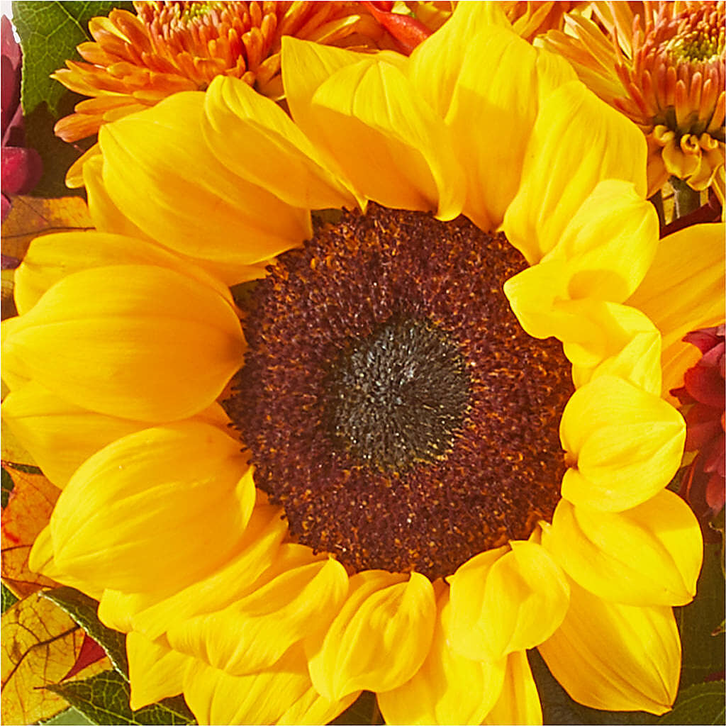 Sunny Side Bouquet –  Talia Flowers, Ottawa ON